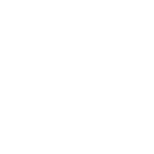 ekg03